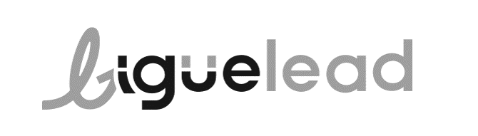 LOGO LIGUELEAD